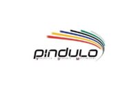 Pindulo VDM Professional Truck Driver Learnerships 2025