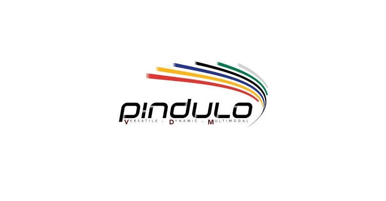 Pindulo VDM Professional Truck Driver Learnerships 2025